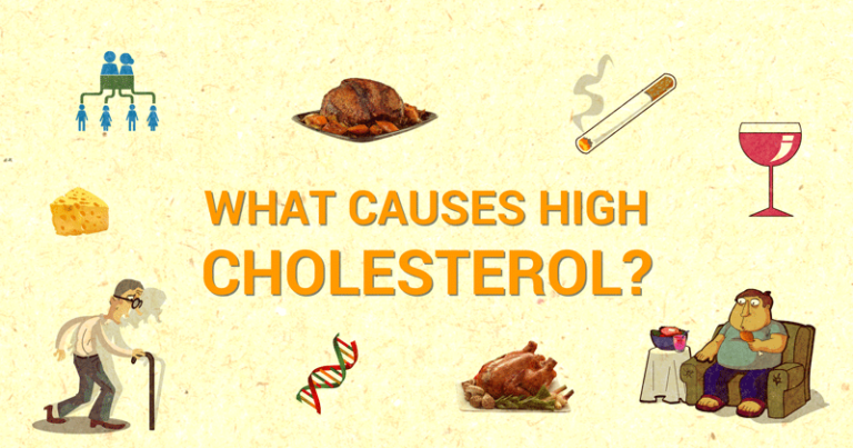 Causes of High Cholesterol