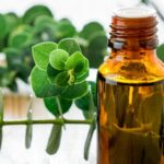 Eucalyptus Oil Benefits for Skin