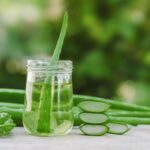 What is Aloe Vera Used to Treat?