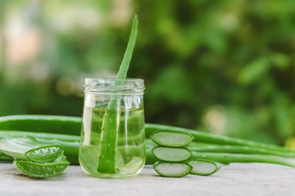 What is Aloe Vera Used to Treat?