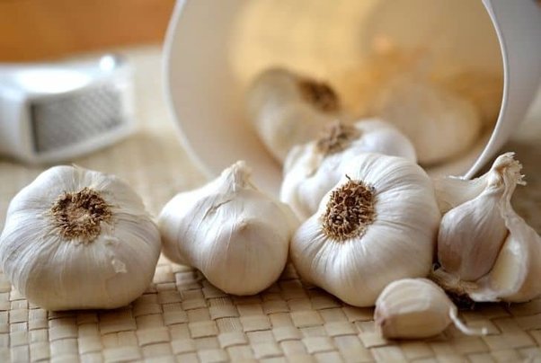 Who should not Drink Garlic Water?