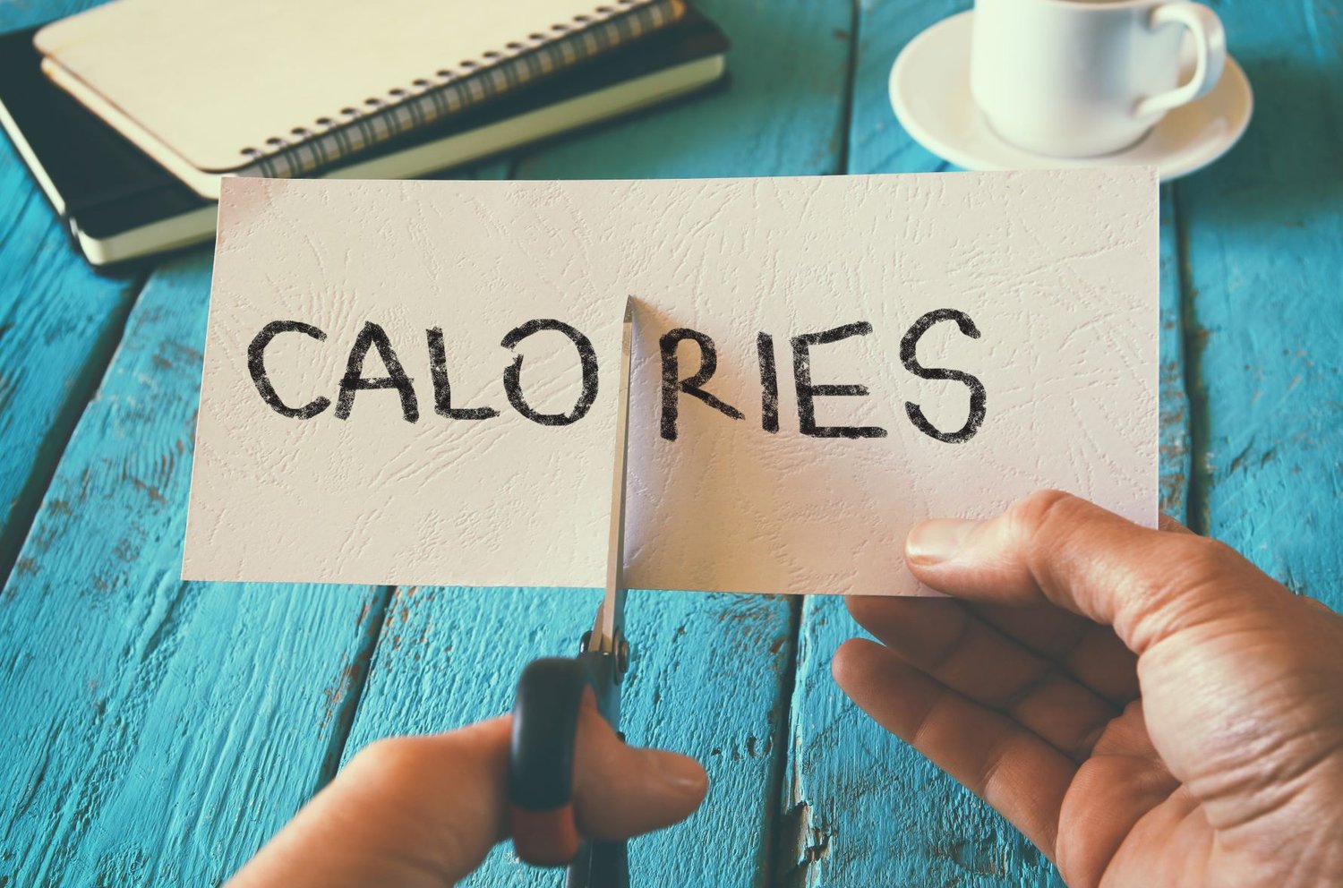 How To Lose Weight Without Counting Calories