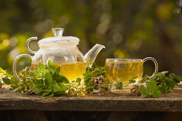 Catnip Tea Benefits