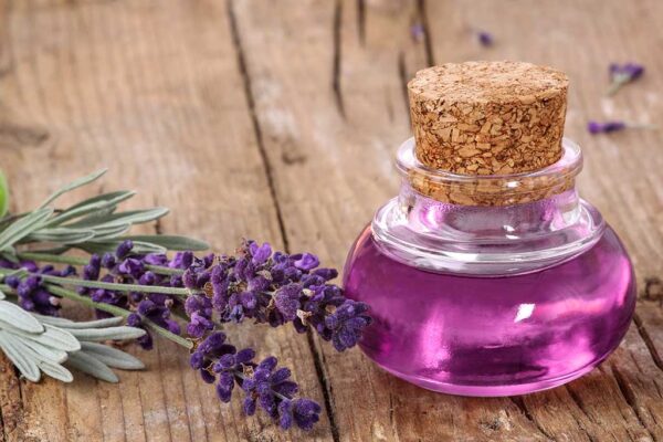 Lavender Oil Benefits