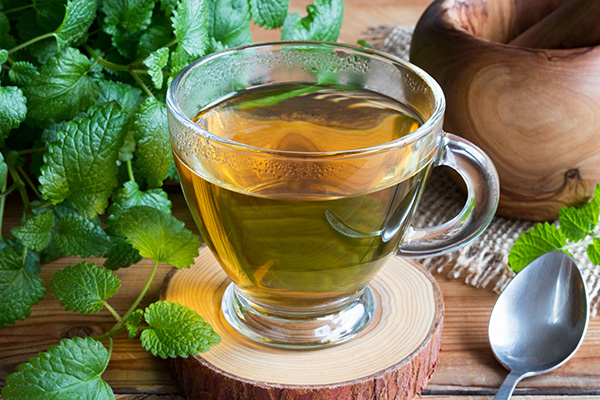 Lemon Balm Tea Benefits