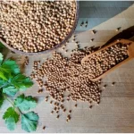 What does coriander taste like to people?