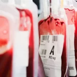 How Many Liters of Blood Are in the Human Body?