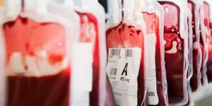 How Many Liters of Blood Are in the Human Body?