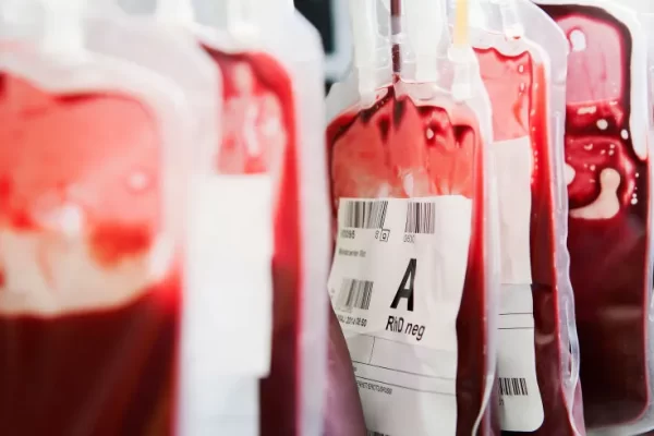 How Many Liters of Blood Are in the Human Body?
