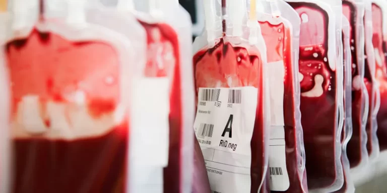 How Many Liters of Blood Are in the Human Body?
