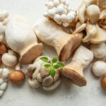 Medicinal Mushrooms Medicinal Mushrooms