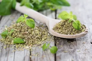 Health Benefits of Oregano