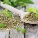 Health Benefits of Oregano