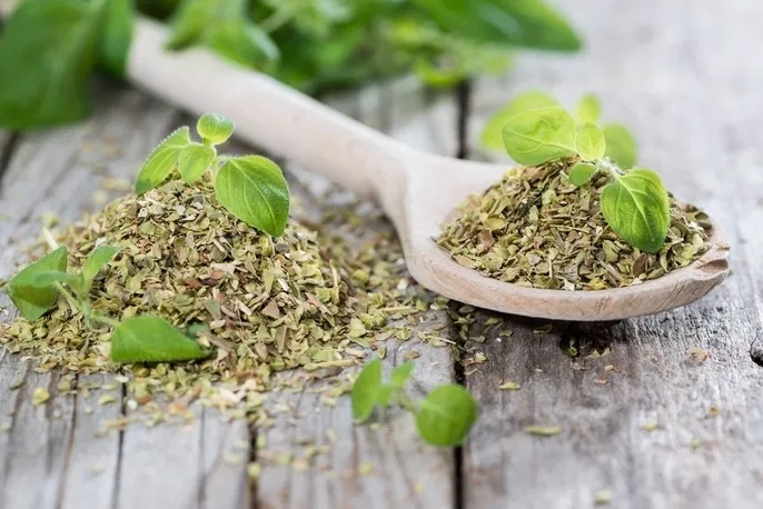 Health Benefits of Oregano