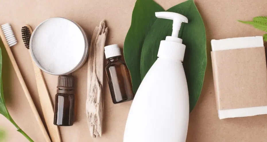 How to Build a Plant-Based Skincare Routine (Step-by-Step)