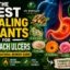 Best Healing Plants for Stomach Ulcers