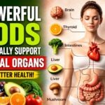 10 Powerful Foods That Naturally Support Your Vital Organs