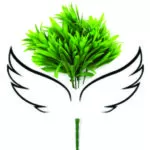 Cropped Cropped Logo