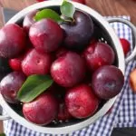 Plum benefits