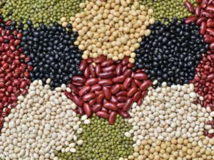 Legumes for high blood pressure
