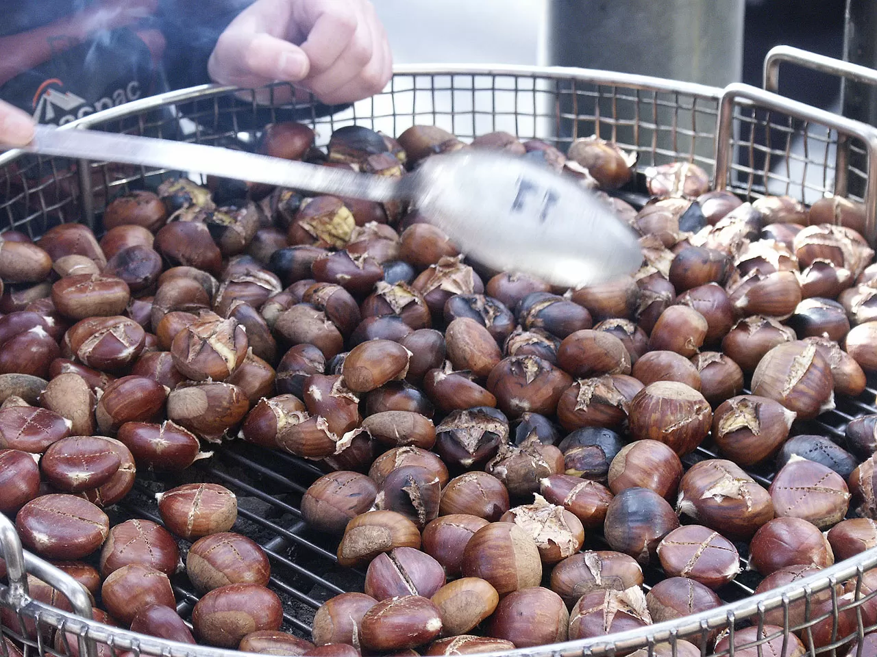 Benefits of Chestnuts for kidney patients