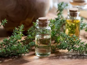 Home Treatment for a Tooth Abscess (Thyme benefits)