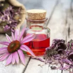 Echinacea Benefits for skin