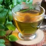 Lemon Balm Medicinal uses