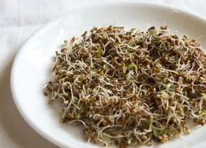 Sprouts Benefits and Side Effects 