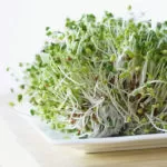 Alfalfa Sprouts Benefits and foods to make bones stronger
