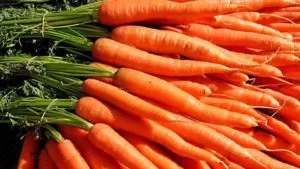 Vitamins in carrots 