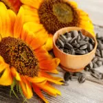 Uses of sunflower seed