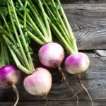 Benefits of Eating Turnips