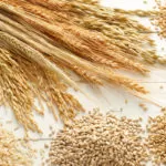 Nutritional Value of Grains