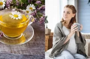 Herbal tea for pregnancy