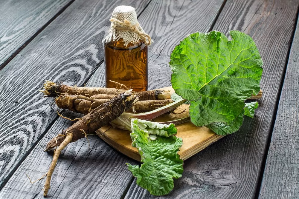 Benefits of Burdock