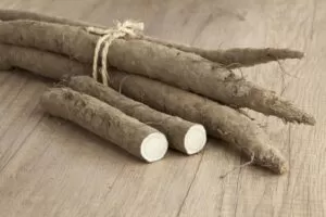 Benefits of Burdock