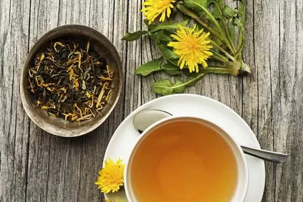 Dandelion’s Medicinal Uses