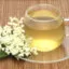 Benefits of Elderflower Tea Benefits of Elderflower Tea