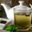 Green Tea Benefits Glass cup with fresh green tea and mint.
