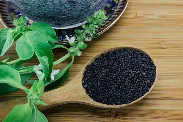 Basil Seeds benefits