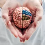 natural therapies for brain health