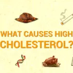 Causes of High Cholesterol