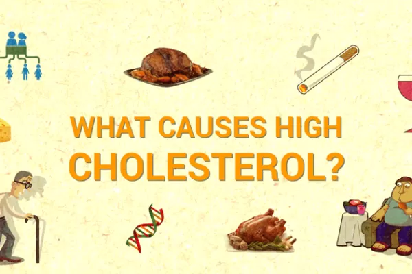 Causes of High Cholesterol