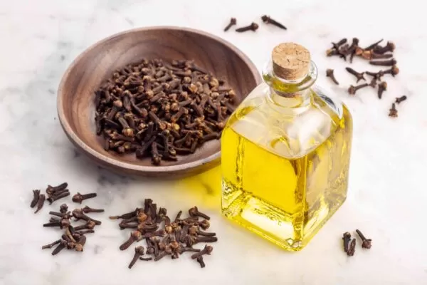 Benefits of Cloves to the vagina