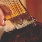 How to Remove Lice from Hair Permanently at Home How to Remove Lice from Hair Permanently at Home