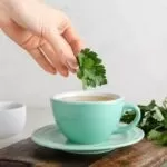 Parsley Tea for Uric Acid
