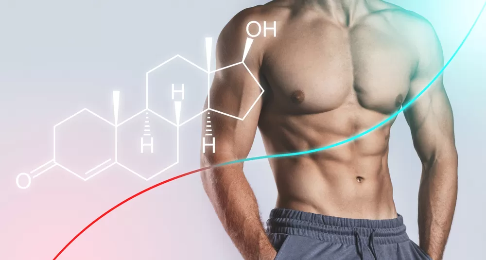 How to Increase Testosterone Naturally